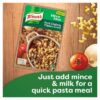 Knorr Mince Mate Fruit Chutney Flavour Curry 230g