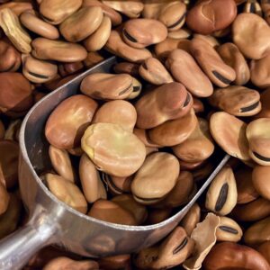 GS Brand Broad Beans 1kg