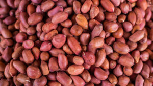 Gs Brand Red Spanish Peanuts 1kg