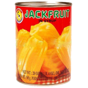 Tas Jackfruit in Syrup 565g