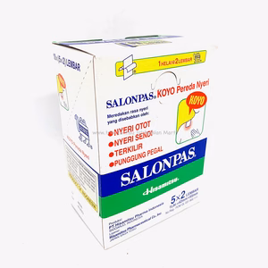 Salonpas Pain Relieving Patch 10 patches box